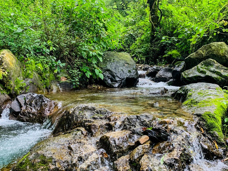 Munnar