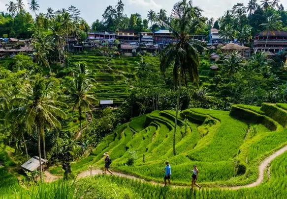 Munnar