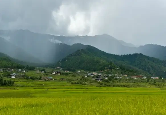 Munnar