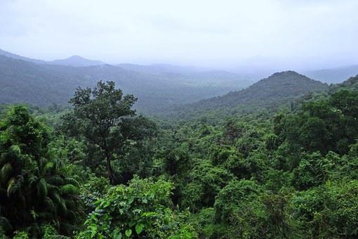 Munnar