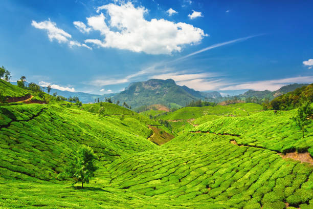 Munnar