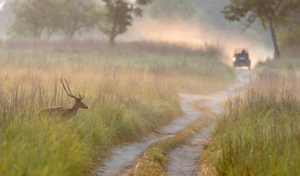 Munnar