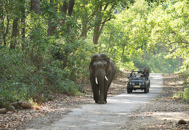 Munnar