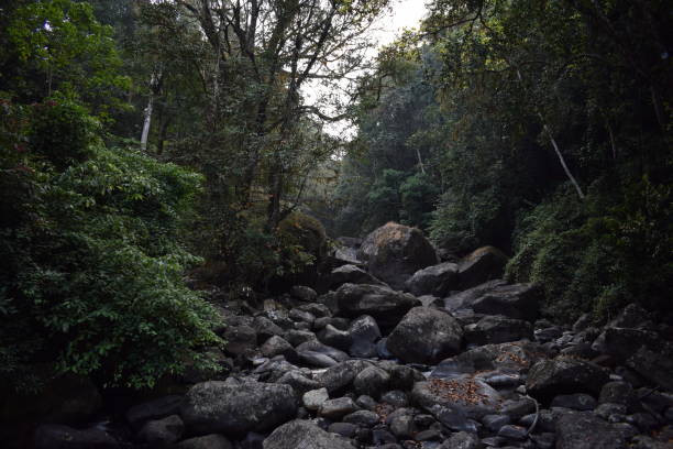 Munnar