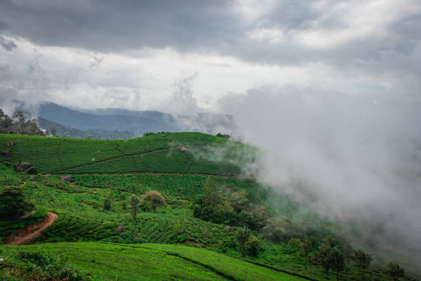 Munnar