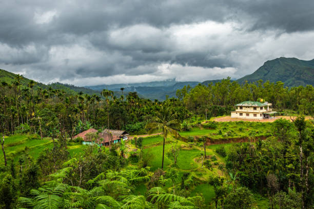 Munnar