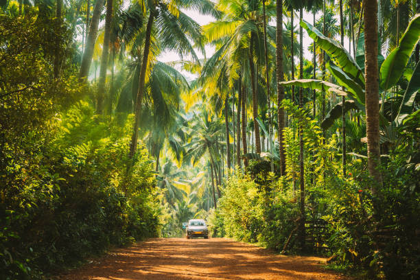 Munnar