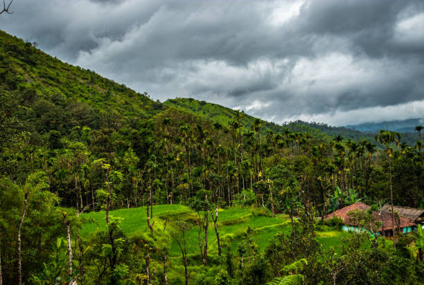 Munnar