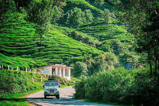 Munnar